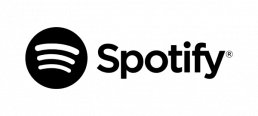 logo9_dark